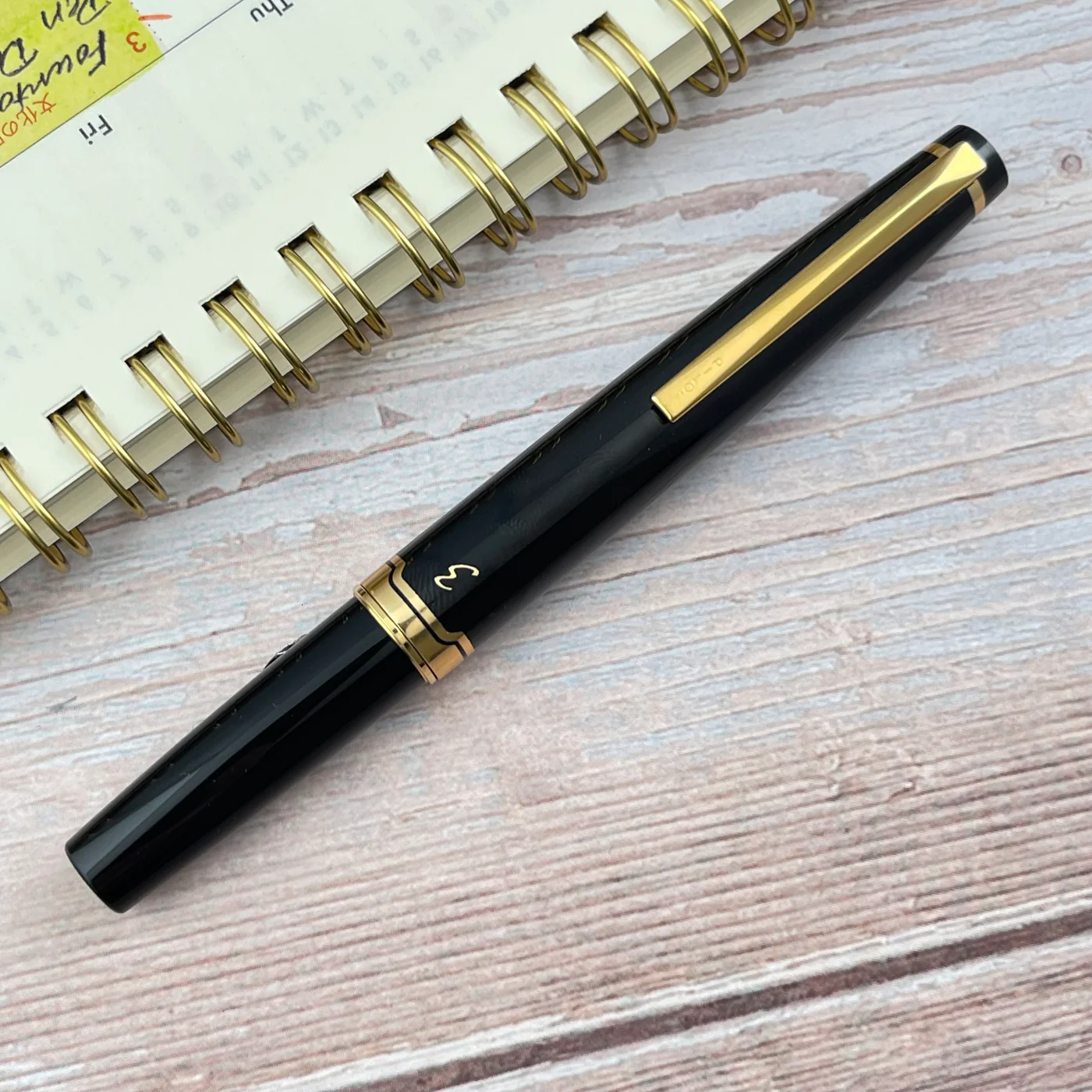 Pilot E95s Fountain Pen  - Black NIBS SIZE [F]14k gold nibs 2